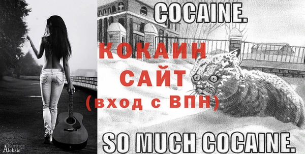 крисы Арсеньев