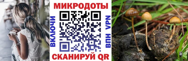 Галлюциногенные грибы прущие грибы  дарк нет как зайти  Спас-Деменск 